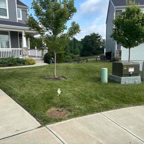 landscape maintenance by Lazer cut LLC reviewed on August 15, 2025