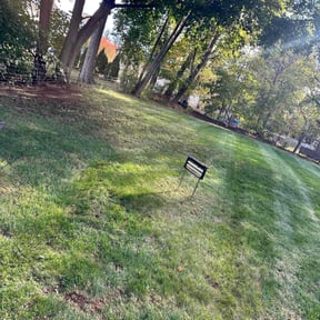 Leaf Removal by 843 Lawn Care reviewed on November 10, 2025