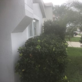 Bush Trimming by Top Turf L.L.C reviewed on November 23, 2025