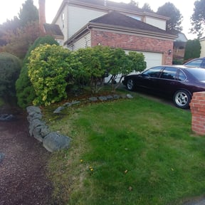 Bush Trimming by SP Landscaping reviewed on November 19, 2025