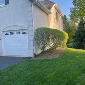 Bush Trimming by Expanding Horizons Property Management LLC reviewed on December 10, 2025