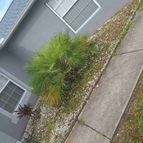 Flower Bed Weeding by VSL Lawn Service reviewed on November 10, 2025