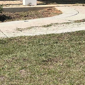 Flower Bed Weeding by JCB Lawn Service reviewed on July 10, 2026