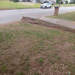 Leaf Removal by No Mow Worries!!! reviewed on September 22, 2025