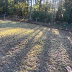 Leaf Removal by Yardclippers LLC reviewed on November 8, 2025