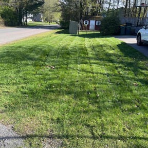 grass cutting by Botello's Lawn Care Service reviewed on June 3, 2024