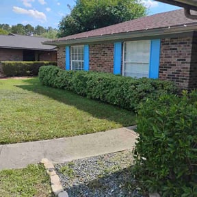 Bush Trimming by Dortch Demo and cleanup reviewed on August 18, 2025