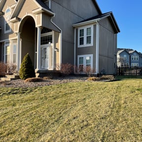 Bush Trimming by Precise Lines Lawn Care reviewed on August 21, 2025