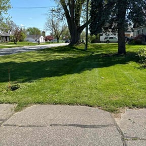 lawn care by Family lawn and tree service llc reviewed on November 14, 2023