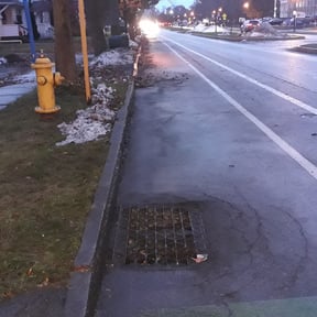 Leaf Removal by Grass Care By the Beach reviewed on August 15, 2025