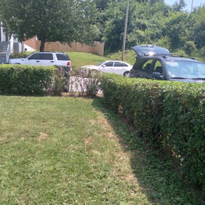 Bush Trimming by My Master Garden reviewed on August 17, 2025
