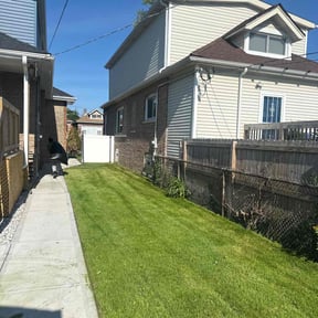 Long Grass Cleanup by Extreme Lawn Care reviewed on August 16, 2025
