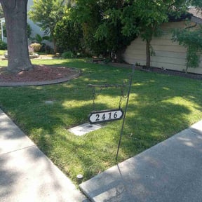 yard work by Innovative designs llc reviewed on August 15, 2025