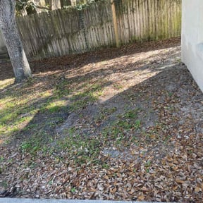 Leaf Removal by ATM reviewed on August 15, 2025