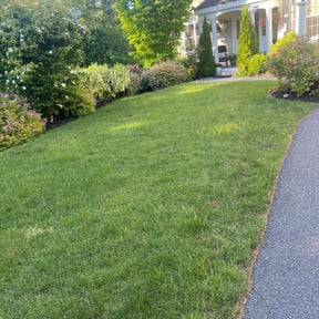 gardening service by Marvel scapes reviewed on August 15, 2025