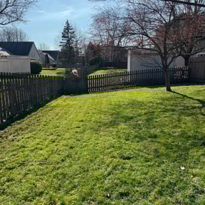 Leaf Removal by UZCO Excavation llc reviewed on September 23, 2025