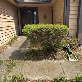 Bush Trimming by DigonThis Lawncare reviewed on April 15, 2026