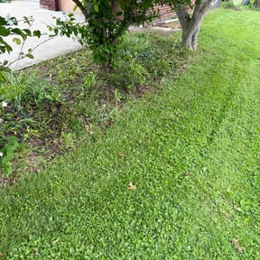 Flower Bed Weeding by Great cut lawn care reviewed on May 8, 2026