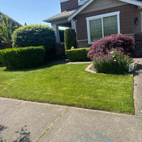 residential landscaping by All about landscape & maintenance reviewed on August 20, 2025