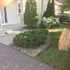 Bush Trimming by La Exelencia Landscaping reviewed on August 15, 2025