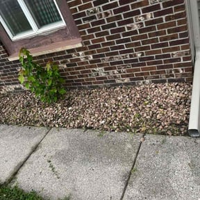 Flower Bed Weeding by Country Cuts  reviewed on November 10, 2025