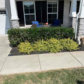 Bush Trimming by KINGS KUTZ INC reviewed on May 9, 2024