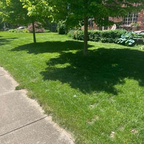 turf maintenance by ZJ's Lawn Services reviewed on July 11, 2025