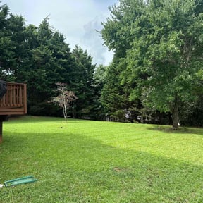 landscaping services by Scotland lawn care and Pressure washing reviewed on August 19, 2025