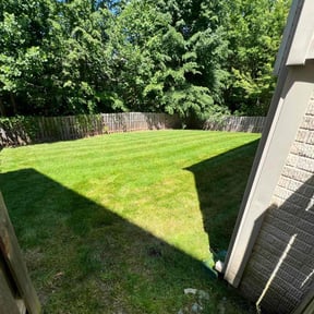 lawn maintenance by George Islas reviewed on October 11, 2023