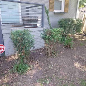Bush Trimming by J C Enterprises reviewed on August 19, 2025