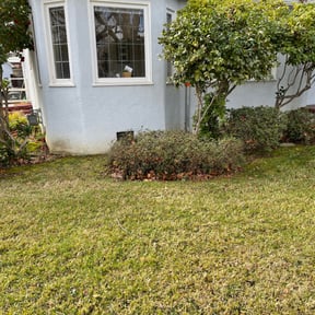 Bush Trimming by Westveld Mowing reviewed on August 21, 2025