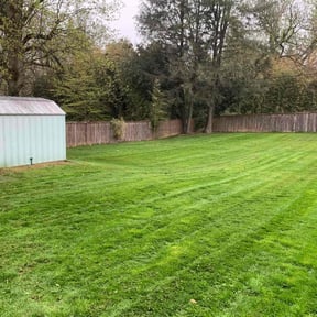 landscaping services by Twalight Scaping reviewed on August 16, 2025
