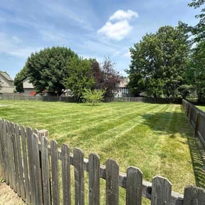 yard work by Metro Lawns, Inc reviewed on August 15, 2025