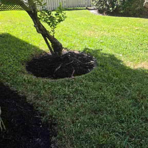 Mulching by Teacher by Trade; Mower by Summer reviewed on October 22, 2025