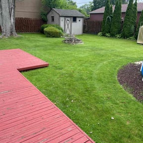 turf care by Trip reviewed on May 16, 2024