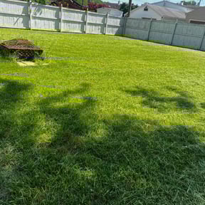 grass cutting by Mike’s mowing and property maintenance reviewed on September 24, 2024