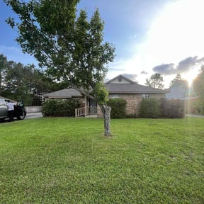yard work by Vega Lawn Care reviewed on August 20, 2025