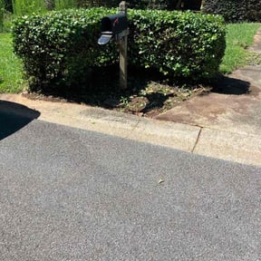 Bush Trimming by Adan&#039;s Hauling reviewed on October 21, 2025