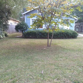 Leaf Removal by Garcia Landscaping &amp; Maintenance reviewed on September 24, 2025