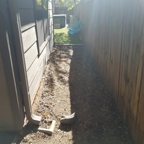 Leaf Removal by Royal Scenery LLC reviewed on September 28, 2025