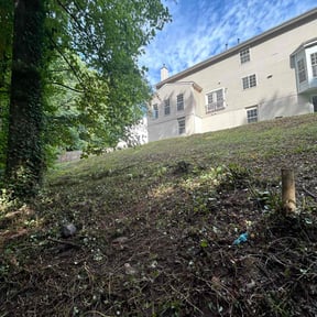 Leaf Removal by Dae1 Property Services reviewed on September 23, 2025