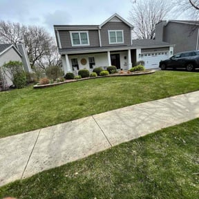 turf care by Forever Green FG LLC reviewed on January 19, 2024