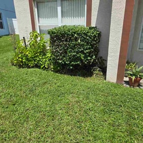 Bush Trimming by Robert Lawn care reviewed on October 18, 2025