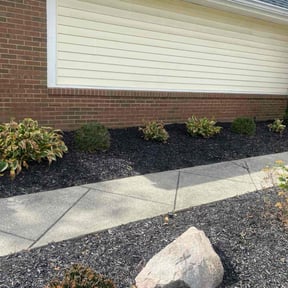 Flower Bed Weeding by Heart of 4 reviewed on October 24, 2025