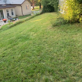 Bush Trimming by Lowes Landscape reviewed on August 21, 2025