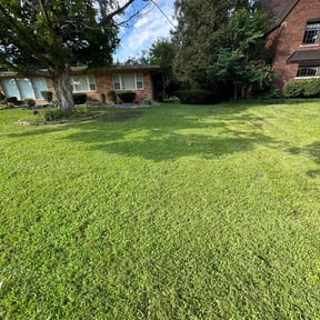 yard maintenance by Taysha Rivera Soler reviewed on August 17, 2025