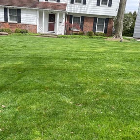 landscaping services by Spur LandCare reviewed on August 18, 2025