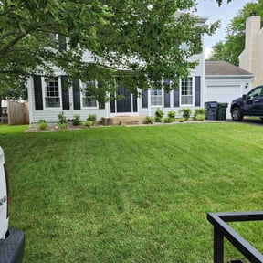 Cleanups by Johns Lawns reviewed on August 17, 2025