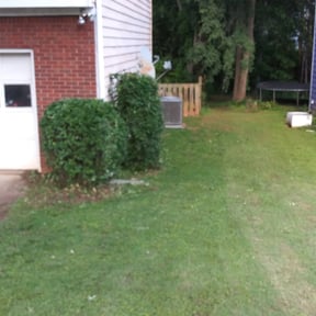 Bush Trimming by Sebastian's concrete and landscaping reviewed on August 15, 2025