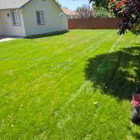 landscaping by Double A lawn care reviewed on August 20, 2025